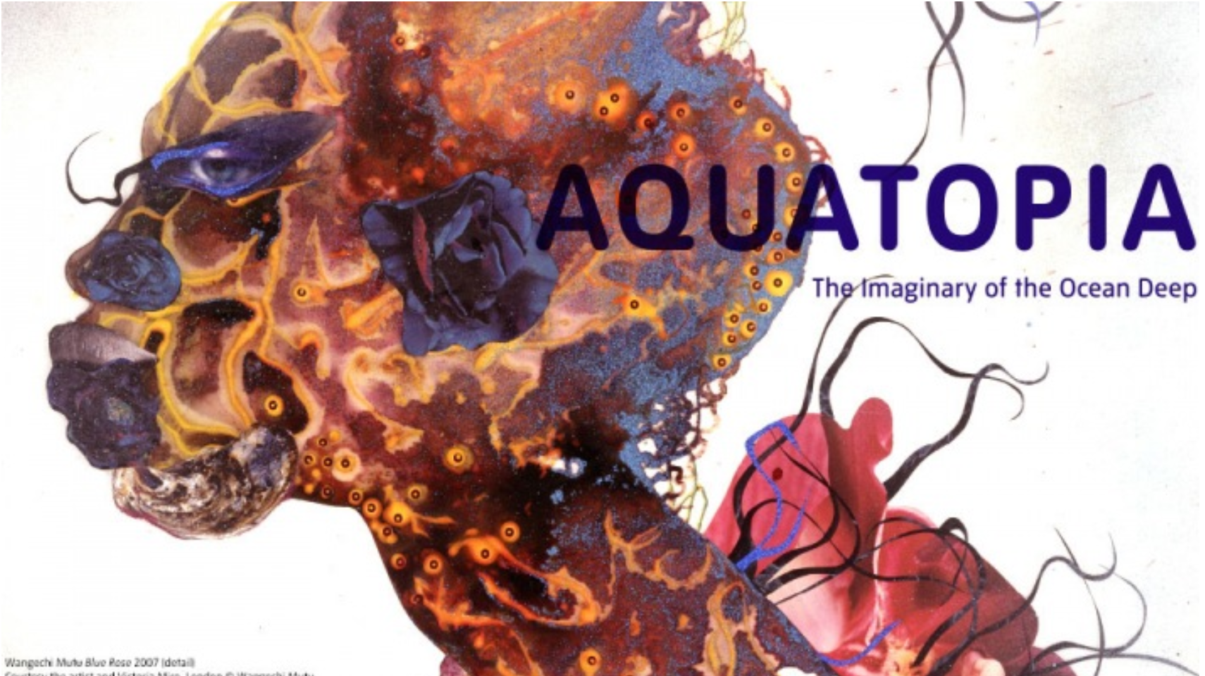 Exposition « Aquatopia »