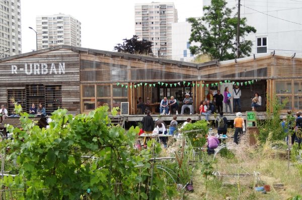 « Guerrilla Gardening »