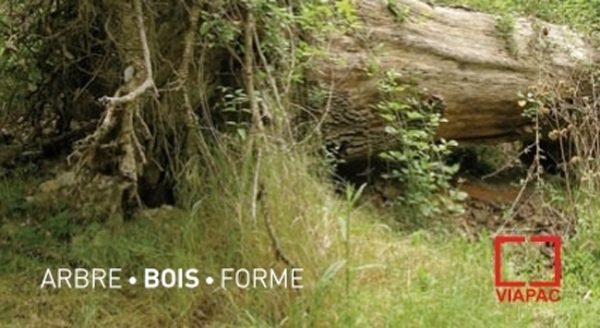 projet 1arbre d’andrea caretto et raffaela spagna – 29.09.11/20.11.11