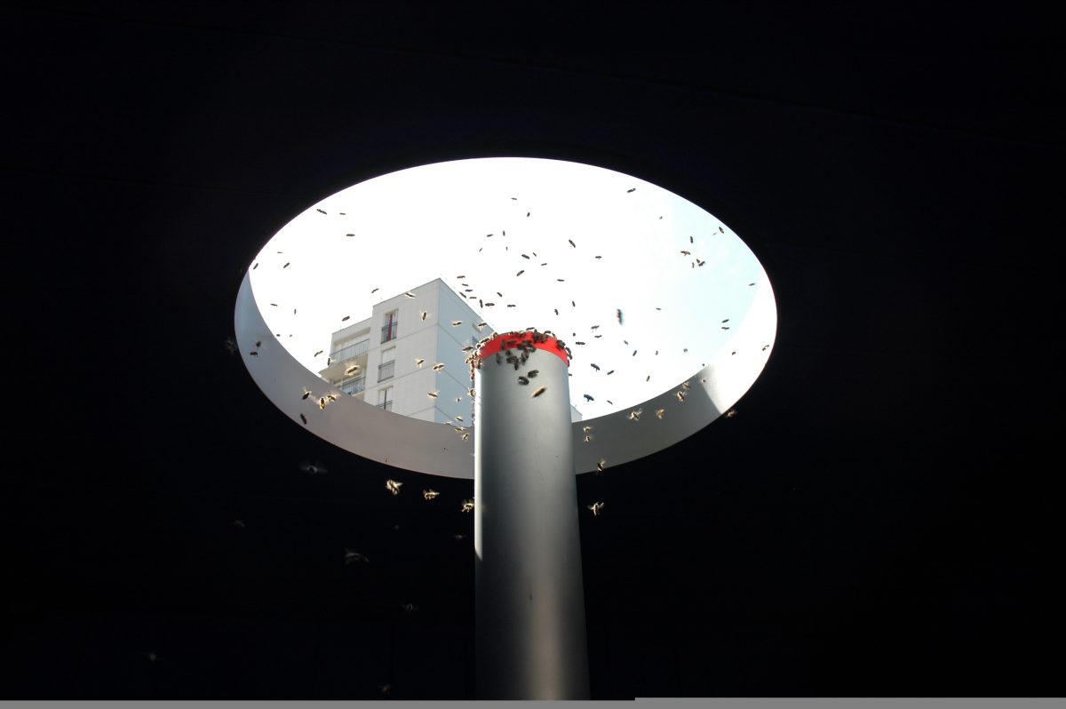 Pollinisateur urbain à La Galerie, Noisy le Sec, Septembre 2007.