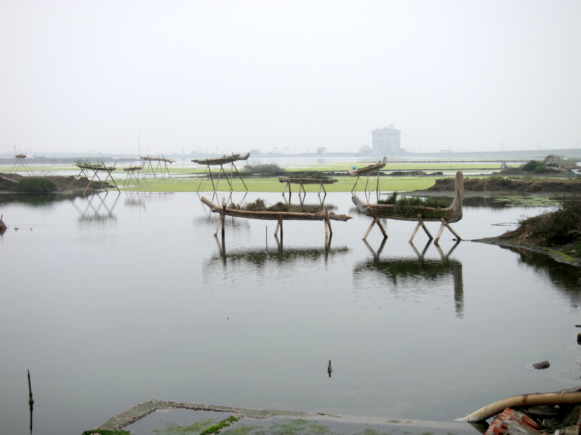 Flying Boats by Rumen Dimitrov