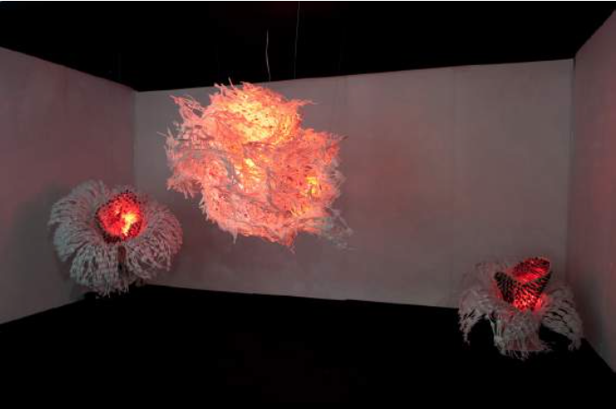 Volta, 2010
