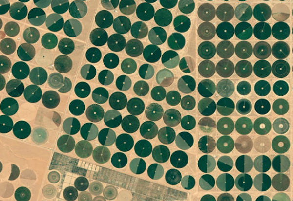 Exposition « Paysage Anthropique »