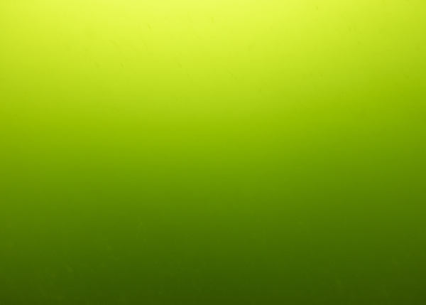 APPEL À PROJETS – PRIX COAL ÉTUDIANT 2025 : EAU DOUCE