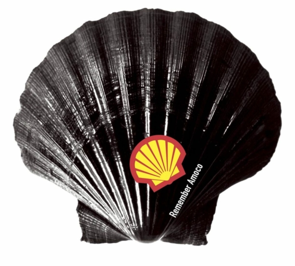 Journée d’études – Musées en transition : renouer avec le vivant