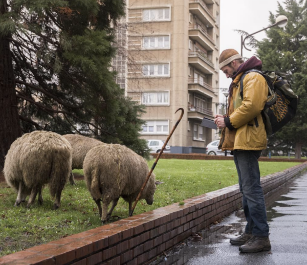 Fonds d’Art Contemporain Agricole de Clinamen (FACAC)