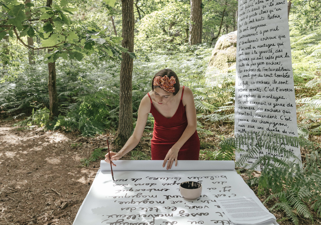 Appel à résidences – les Nuits des Forêts 2026