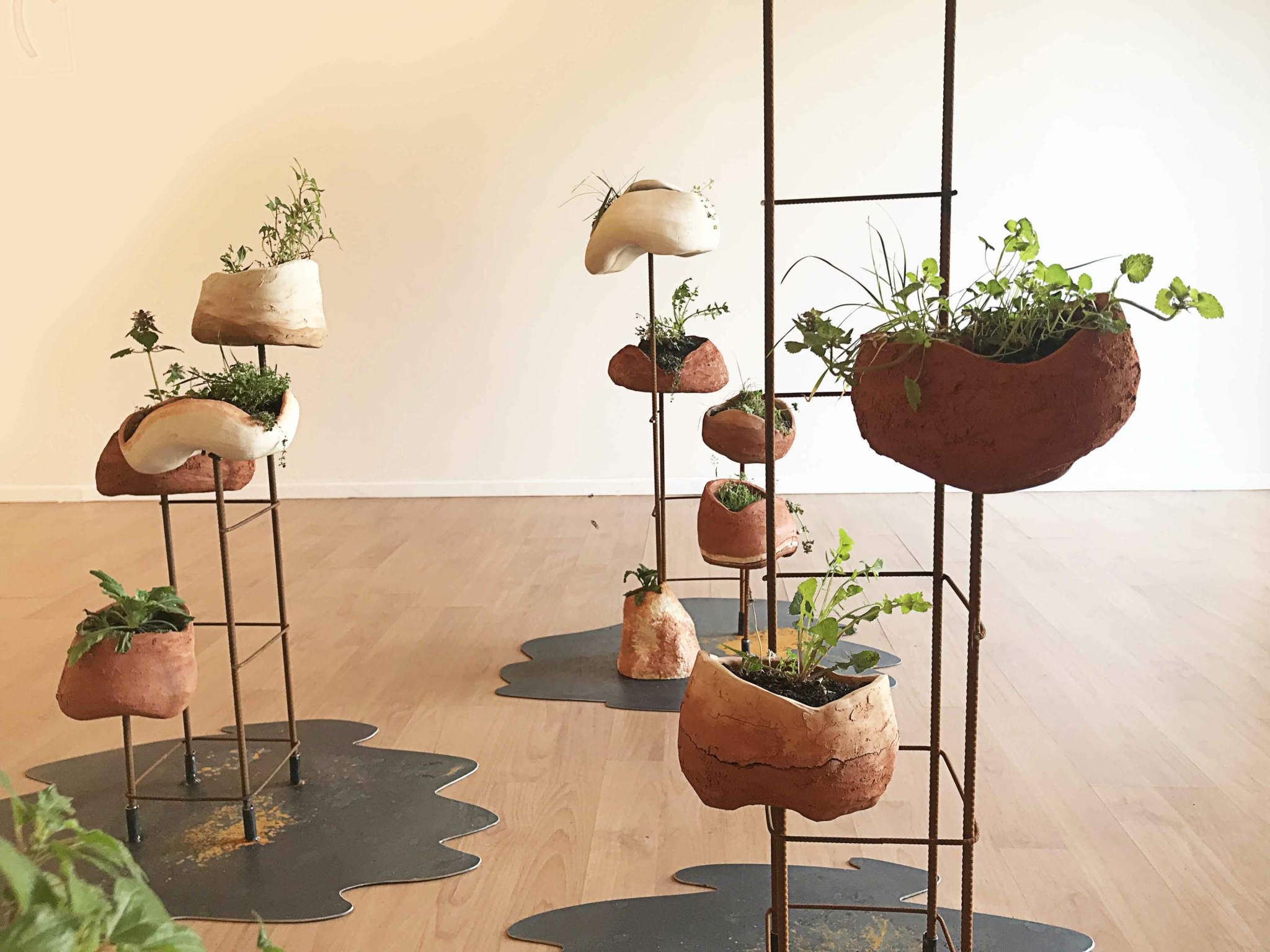 La ou la nature persiste – Minerva