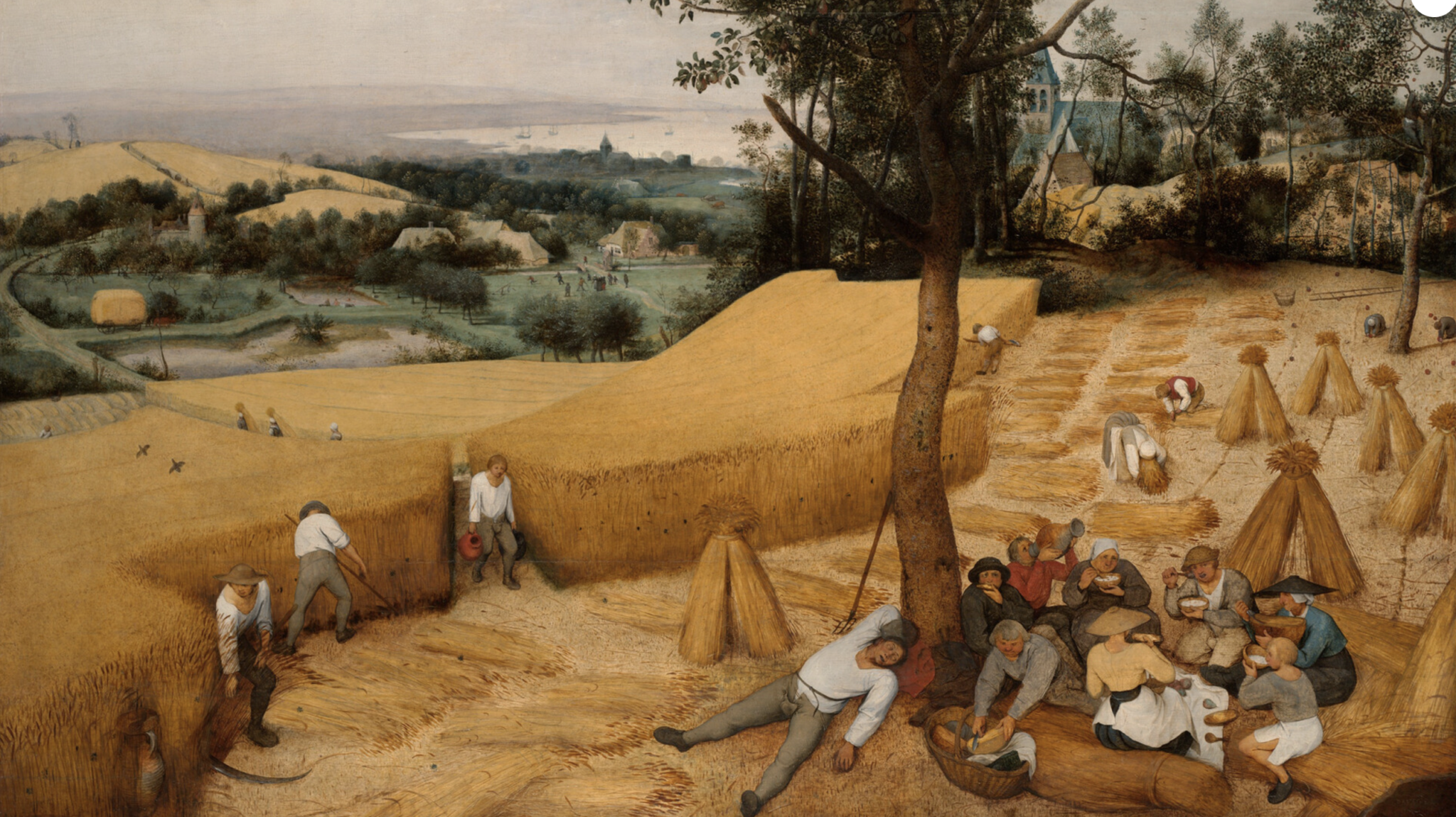 The Return to Nature and Culture – Tim Ingold  – Le Collegium Helveticum