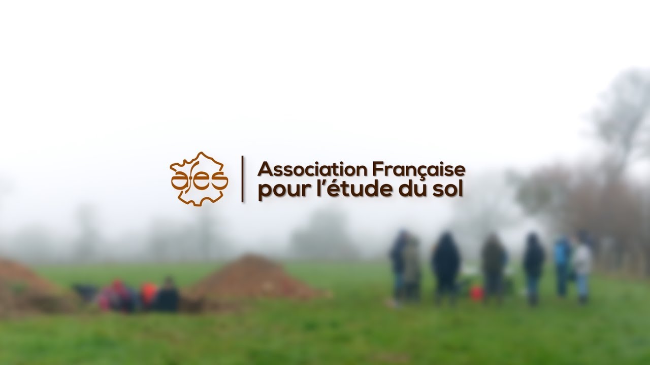 Association Française pour l’Étude du Sol (AFES)
