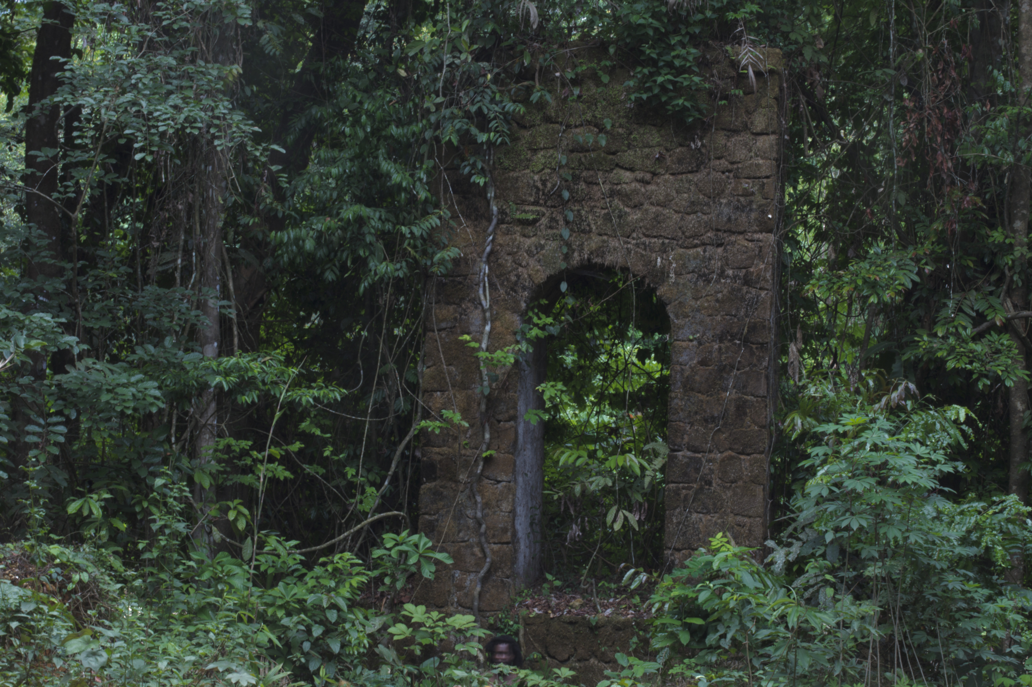 Parfois revenir en arrière et avancer se confondent – FRAC Alsace