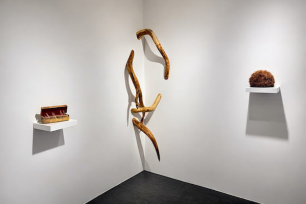 Polyfaunie Polyflorie – La galerie By Lara Sedbon