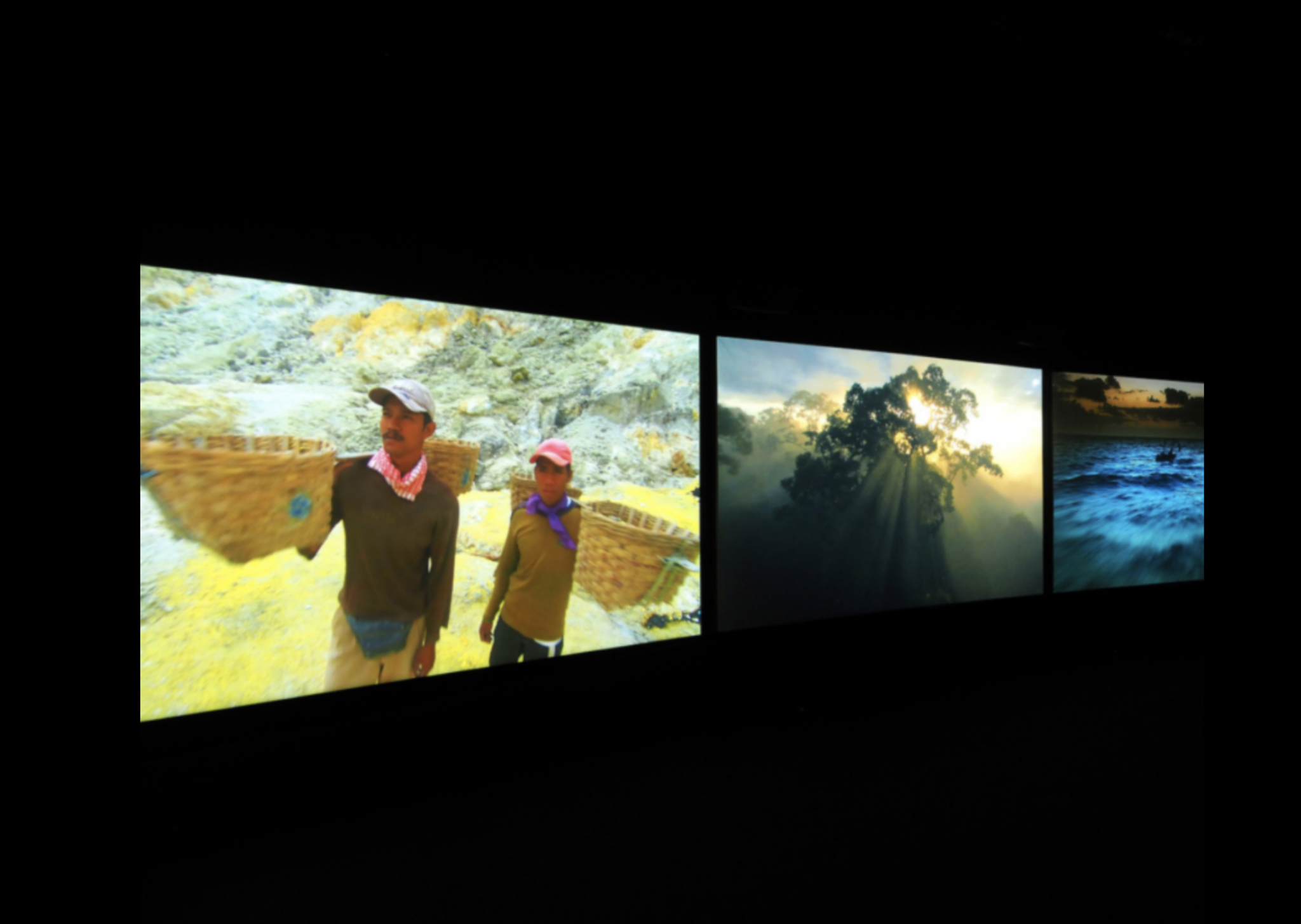 Green Soul : l’anthropocène : cultures, arts, imaginaires – Paul Ardenne